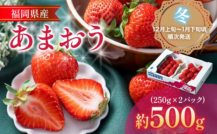 あまおう 福岡産【冬】あまおう 2パック 合計500g （1パックあたり250g） いちご 苺 果物 フルーツ 九州産 福岡県産 冷蔵 送料無料【12月上旬発送開始予定】