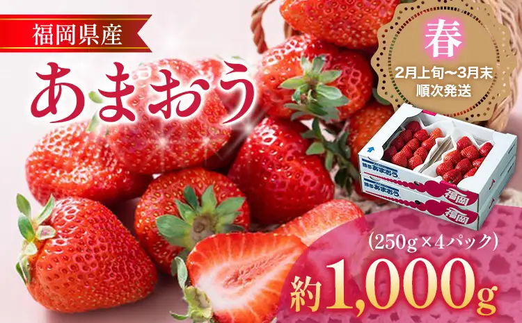福岡産【春】あまおう 4パック 合計1000g（1パックあたり250g） いちご 苺 果物 フルーツ 九州産 福岡県産 冷蔵 送料無料 【2月上旬発送開始予定】