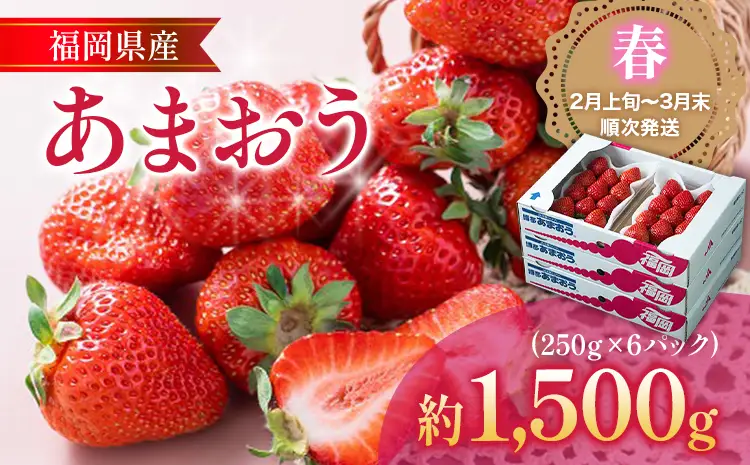 福岡産【春】あまおう 6パック 合計約1500g（1パックあたり250g） いちご 苺 果物 フルーツ 九州産 福岡県産 冷蔵 送料無料 【2月上旬発送開始予定】