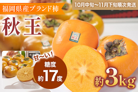 福岡県産ブランド柿「秋王」約3kg(8-12玉)