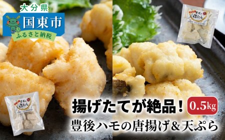 揚げたてが絶品！豊後ハモの唐揚げ＆天ぷら/0.5kg _0275N