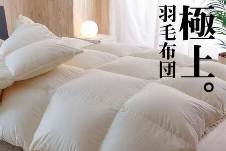 極上羽毛/立体キルト 布団 睡眠 寝具 ふとん 【251-000290-20】【42-2】