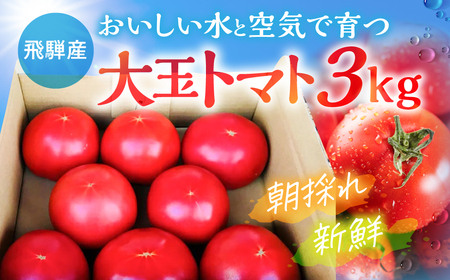 【先行予約】大玉トマト 3kg / トマト 池田農園