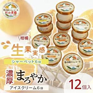 果樹園のジェラート 柑橘食べ比べ12個セット 100ml×12個 冷凍 ギフト アイスクリーム シャーベット□