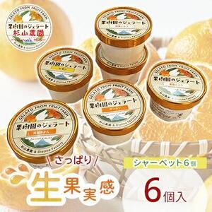果樹園のジェラート 夏にさっぱりシャーベット6個セット 100ml×6個 冷凍 ギフト アイスクリーム シャーベット□