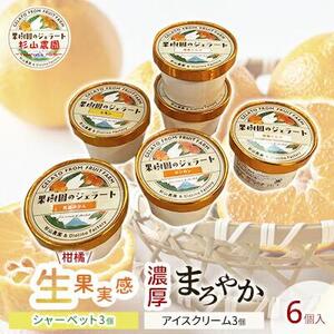 果樹園のジェラート 柑橘食べ比べ6個セット 100ml×6個 冷凍 ギフト アイスクリーム シャーベット□