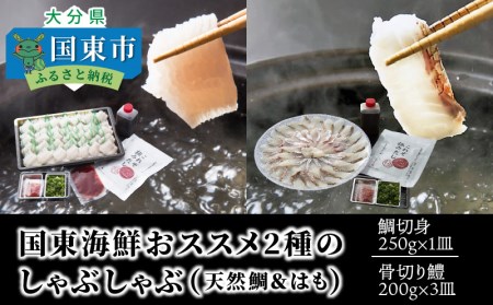 国東海鮮おススメ2種のしゃぶしゃぶ（天然鯛＆はも）・通 _29011B