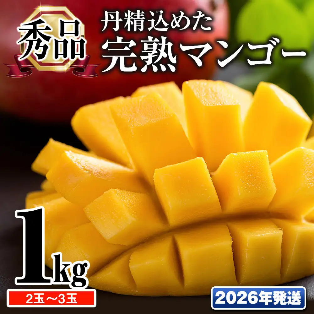 【2026年発送】「秀品」丹精込めた完熟マンゴー1kg　2玉～3玉