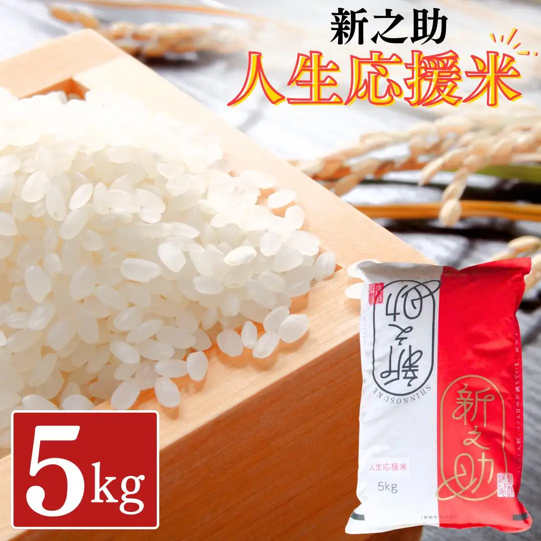 新之助 5kg 人生応援米 令和7年産 アグリ巧房 新之助