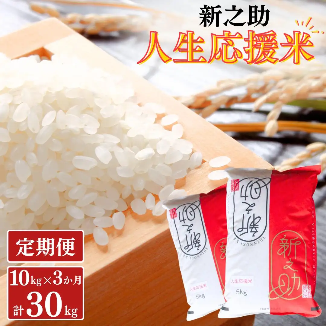 新之助 定期便10kg×3か月 人生応援米 令和7年産 新之助 アグリ巧房 