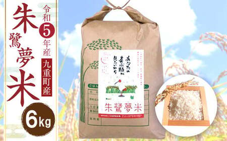 【令和5年度産】 大分県 九重町産 朱鷺夢米 6kg 精米 ミルキークィーン 米