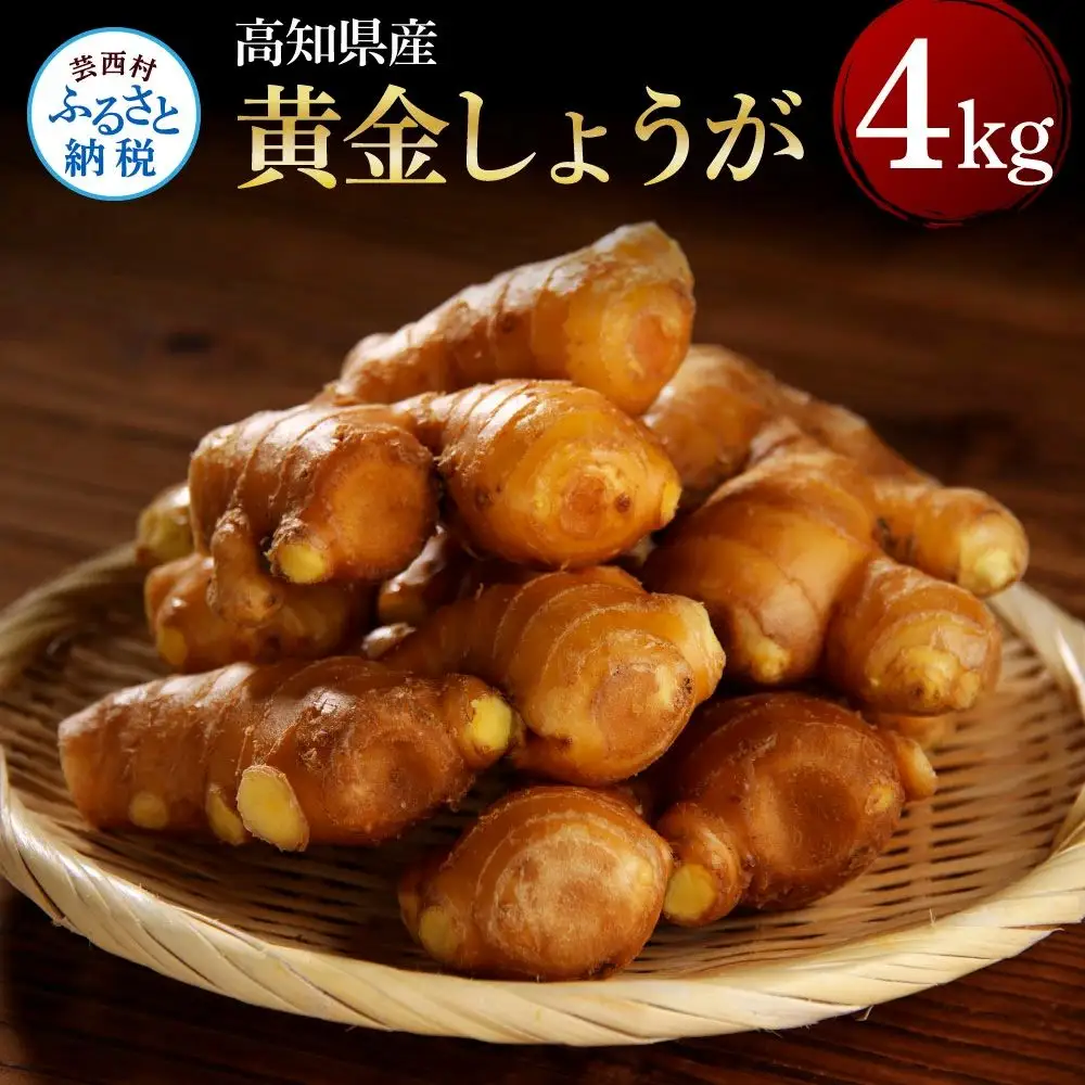 高知県産黄金しょうが4kg 