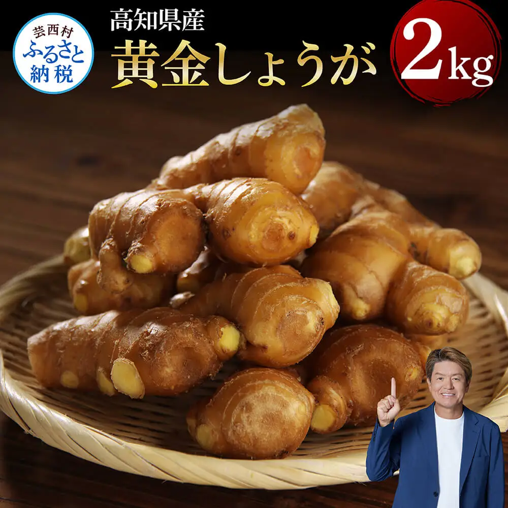【高知県産】黄金しょうが 2kg　