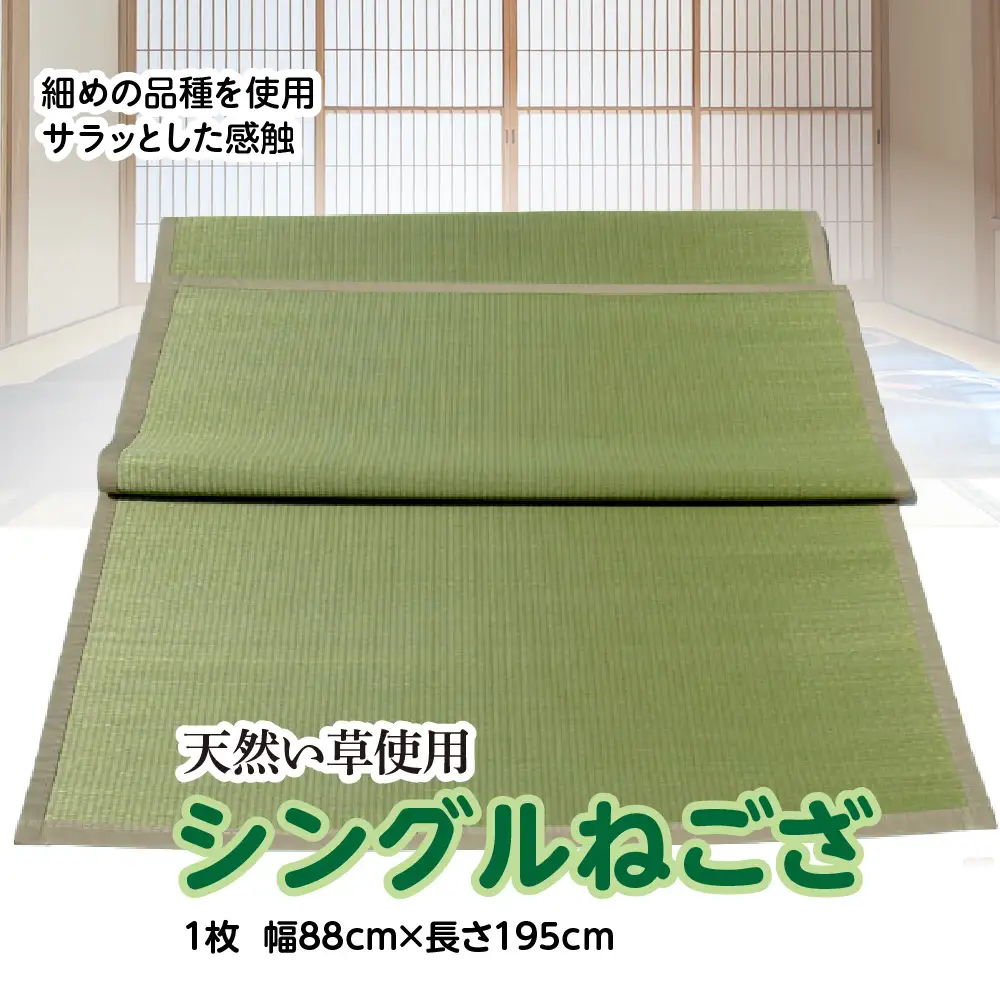 い草 シングルねござ 幅88cm×長195cm イグサ 畳 敷物 ござ マット カーペット 熊本県 八代市 特産品 国産 日本製