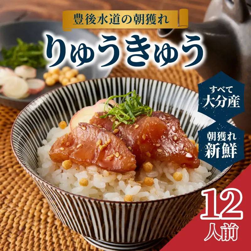 豊後水道の朝獲れ　りゅうきゅう　【12人前】 E22030