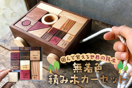積み木おすすめ 遊んで覚える世界の銘木無着色ｶｰｾｯﾄ 納期３カ月 mi0037-0030