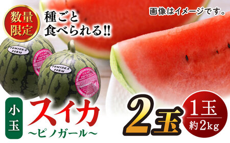 先行予約 種ごと食べられる小玉スイカ2玉ピノガールZEM003