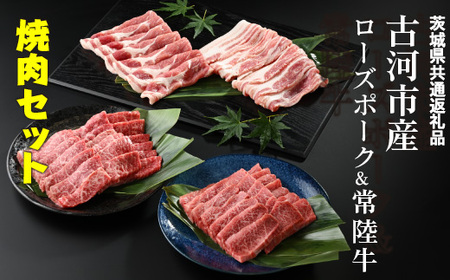 古河市産ローズポーク＆常陸牛『焼肉セット』〈茨城県共通返礼品〉 _AD10