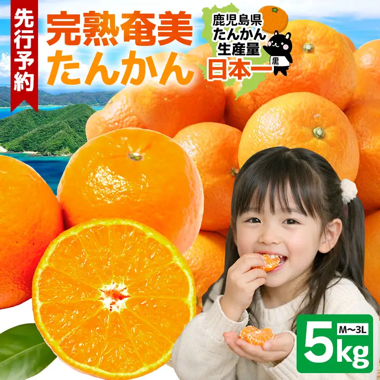 【 2027年 先行予約 】《 奄美大島産 》 おいしい 完熟 たんかん 光センサー選別 5kg A145-002 期間 数量 限定 柑橘 みかん 果物 フルーツ 旬 甘い 光センサー サイズ おまかせ 奄美大島 ピーラー付き フラスコ ふるさと納税 鹿児島 奄美市 おすすめ ランキング プレゼント ギフト