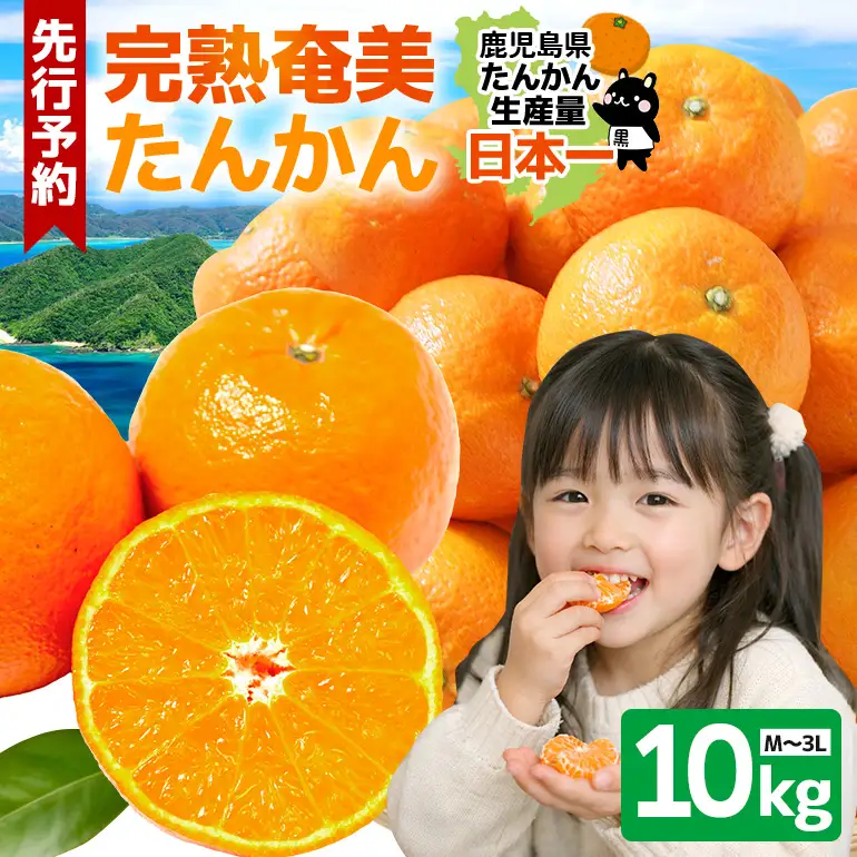 【 2027年 先行予約 】《 奄美大島産 》 おいしい 完熟 たんかん 光センサー選別 10kg A145-003 期間 数量 限定 柑橘 みかん 果物 フルーツ 旬 甘い 光センサー サイズ おまかせ 奄美大島 ピーラー付き フラスコ ふるさと納税 鹿児島 奄美市 おすすめ ランキング プレゼント ギフト
