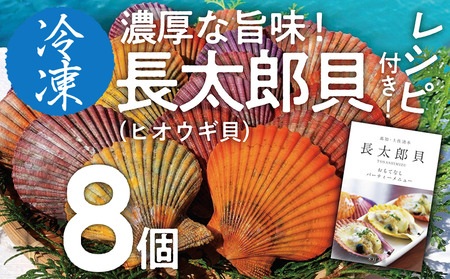 【9月発送】黒潮の恵 冷凍 ヒオウギ貝８個セット（ホタテの仲間）アウトドア キャンプ バーベキュー 魚貝 殻付 貝柱 酒蒸し 真空パック【R00802】