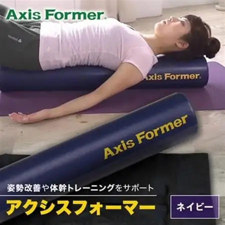 アクシスフォーマー ロングポール (ネイビー)_雑貨・日用品  スポーツ・アウトドア用品 _【1035023】