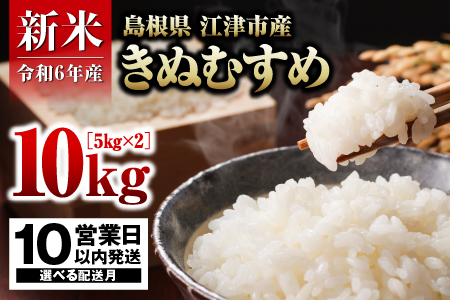 【配送月が選べる】【10営業日以内配送】R6産 邑智郡産 きぬむすめ 5kg × 2【合計10kg】【FY-1】｜R6産 新米 白米 島根県 江津市産 お米 精米 こめ おこめ 米 10キロ 5キロ 小分け 使いやすい 美味しい｜
