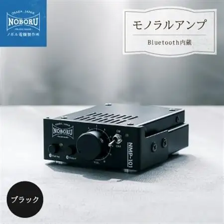 Bluetooth内蔵1Wモノラルアンプ ブラック NMP-101B_家電製品 TV