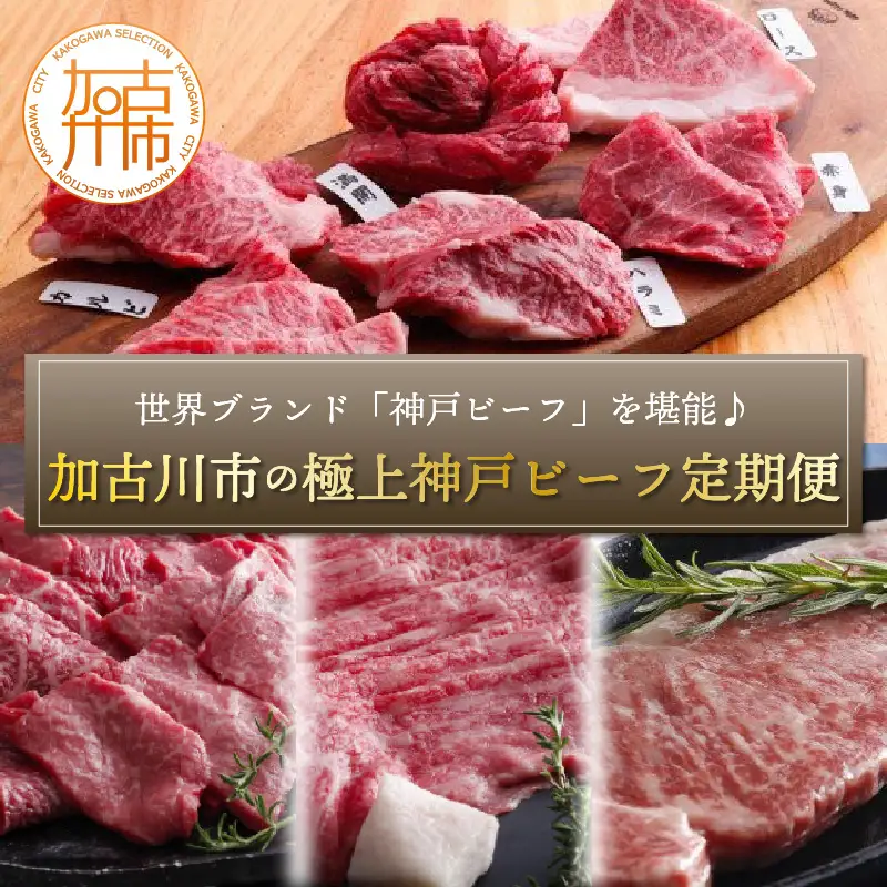 世界ブランド「神戸ビーフ」を堪能♪加古川市の極上神戸ビーフ定期便《 神戸牛 ふるさと納税 自社牧場直送 神戸牛 肉のヒライ 食べ比べ焼肉 焼肉用 すき焼き・しゃぶしゃぶ用 サーロインステーキ 焼肉 しゃぶしゃぶ ステーキ 食べ比べ 》【2430A00123】