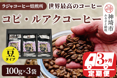 ジャコウネコ珈琲　コピ・ルアク 100g×3袋【3回定期便】(H070106)