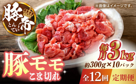 【12回定期便】豚帝 豚モモ こま切れ 切り落とし 3kg（300g×10pc）【KRAZY MEAT(小田畜産)】[ZCP104]