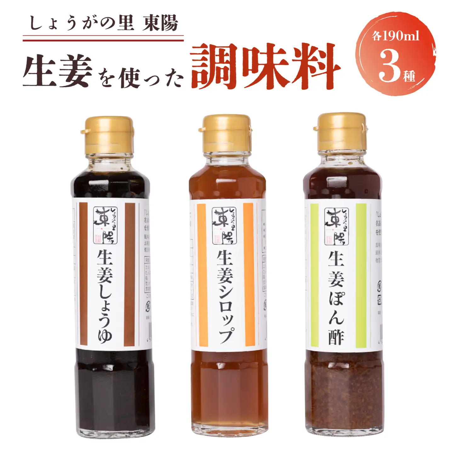 しょうがの里東陽 生姜を使った調味料 3本セット しょうが ショウガ 温活 冷え対策 調味料 シロップ ポン酢 醤油 熊本県 八代市