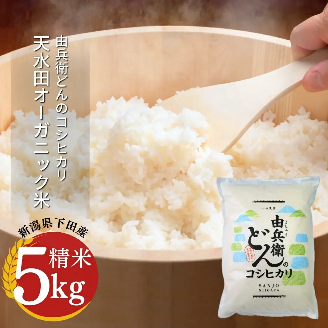 天水田で育ったコシヒカリ 5kg オーガニック米 新潟県 三条市 コシヒカリ