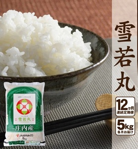 SN0023　【12回定期便】［精米］雪若丸　5kg×12回(計60kg) JM