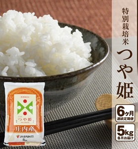 SI0075　≪6ヶ月定期便≫ 特別栽培米 つや姫 5kg×6ヶ月 計30kg 山形県庄内産 毎月下旬頃にお届け 東北 酒田市 庄内地方 庄内平野 お米 精米 白米 ブランド米 庄内米 ごはん ご飯 農協 JA 産地直送 JA庄内みどり