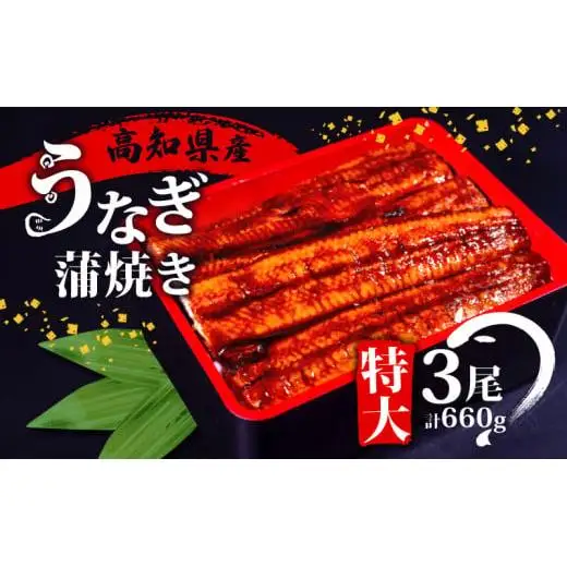 【 うなぎ 】 うなぎ蒲焼き 220g 3尾