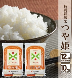 SY0039　【12回定期便】［精米］特別栽培米 つや姫　10kg×12回(計120kg) JM