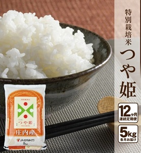 SR0006　【12回定期便】［精米］特別栽培米 つや姫　5kg×12回(計60kg) JM