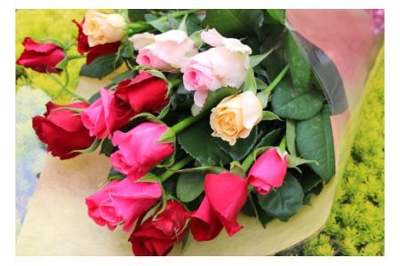 【約15本】生産者直送　有機栽培で育った朝切りバラの花束　【11246-0046】