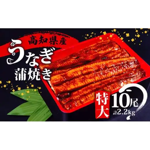 【 うなぎ蒲焼き 】 うなぎ蒲焼き 220gx10尾