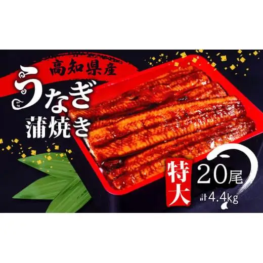 【 うなぎ 】 うなぎ20尾