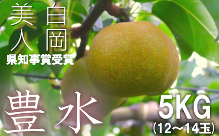藤井農園の美味しい梨『豊水』約5kg箱入り　【11246-0390】