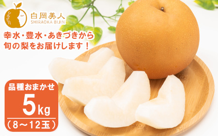 折原梨園のおいしい梨　約5kg　幸水・豊水・あきづき　【11246-0356】