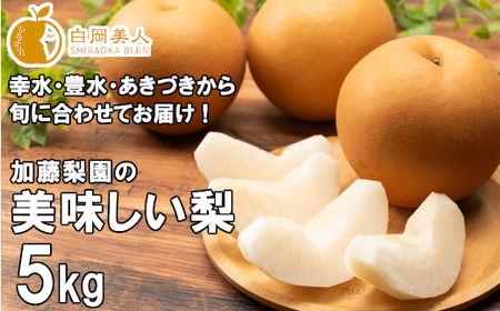 加藤梨園の美味しい梨　約5kg　幸水・豊水・あきづき　【11246-0354】