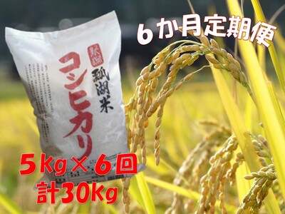 【令和7年産】【6ヶ月定期便】新潟産 コシヒカリ「瓢湖米」 5kg×6回 白米 精米 米 こめ コメ 1N09083