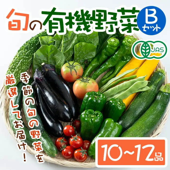＜先行予約受付中！2026年6月上旬より順次発送予定＞旬の有機野菜セットB(10～12品)やさい 詰合せ 詰め合わせ 季節 おまかせ お楽しみ【114500201】【さとう有機農園】