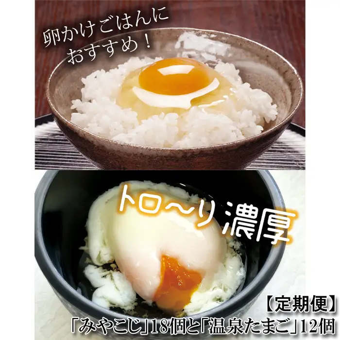 【定期便】［2ヵ月連続］伝承卵「みやこじ」18個（15個＋卵割れ補償3個）と「温泉たまご」12個（10個＋卵割れ補償2個）の詰合せ No.435