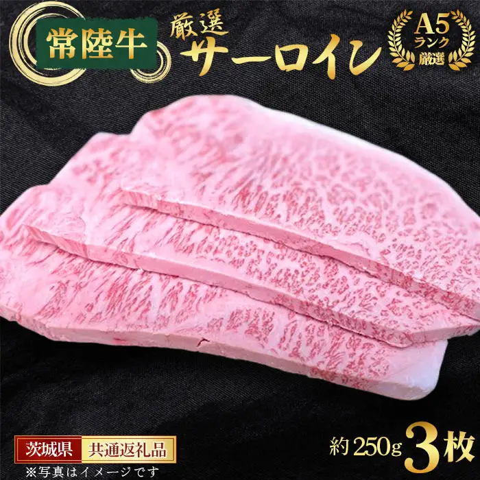 【常陸牛】A5ランク厳選サーロイン（ステーキ用）約250g×3枚＜茨城県共通返礼品＞ No.460