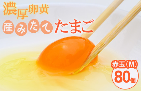 小久保ファーム　濃厚卵黄　産みたてたまご　赤玉80個入り（M玉） _EI03