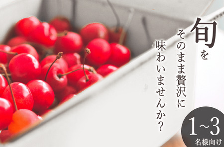 ＜2026年発送先行予約＞南アルプス市産 たっぷりバラ詰めさくらんぼ M,Lサイズ 400g ALPAL021